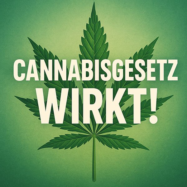 Cannabisgesetz wirkt - erster zwischenbericht zur CanG Evaluation bestätigt